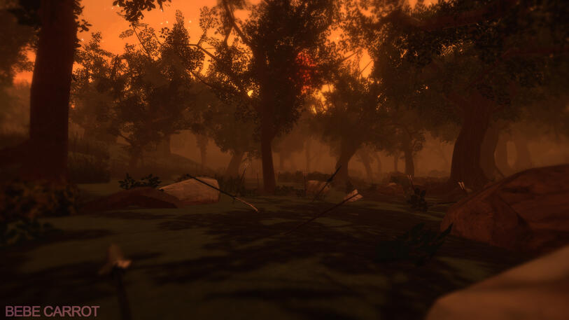 forest sunset